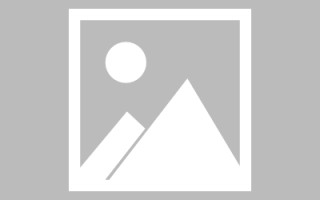 临沂美国设计网页制作公司（美国设计网站大全）